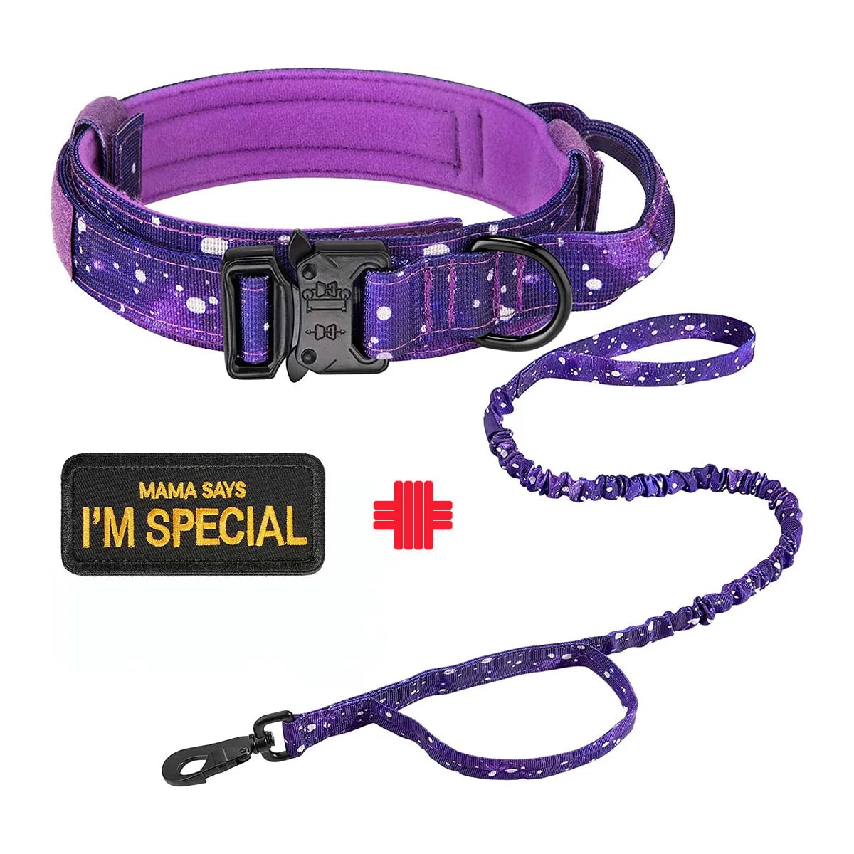 Set of collar and leash for dog