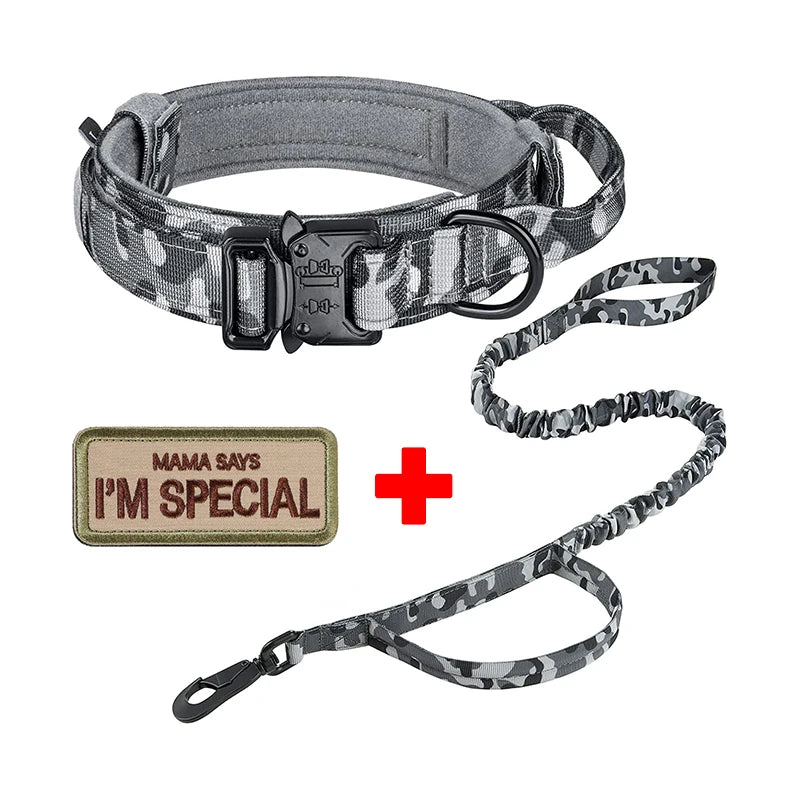 Set of collar and leash for dog