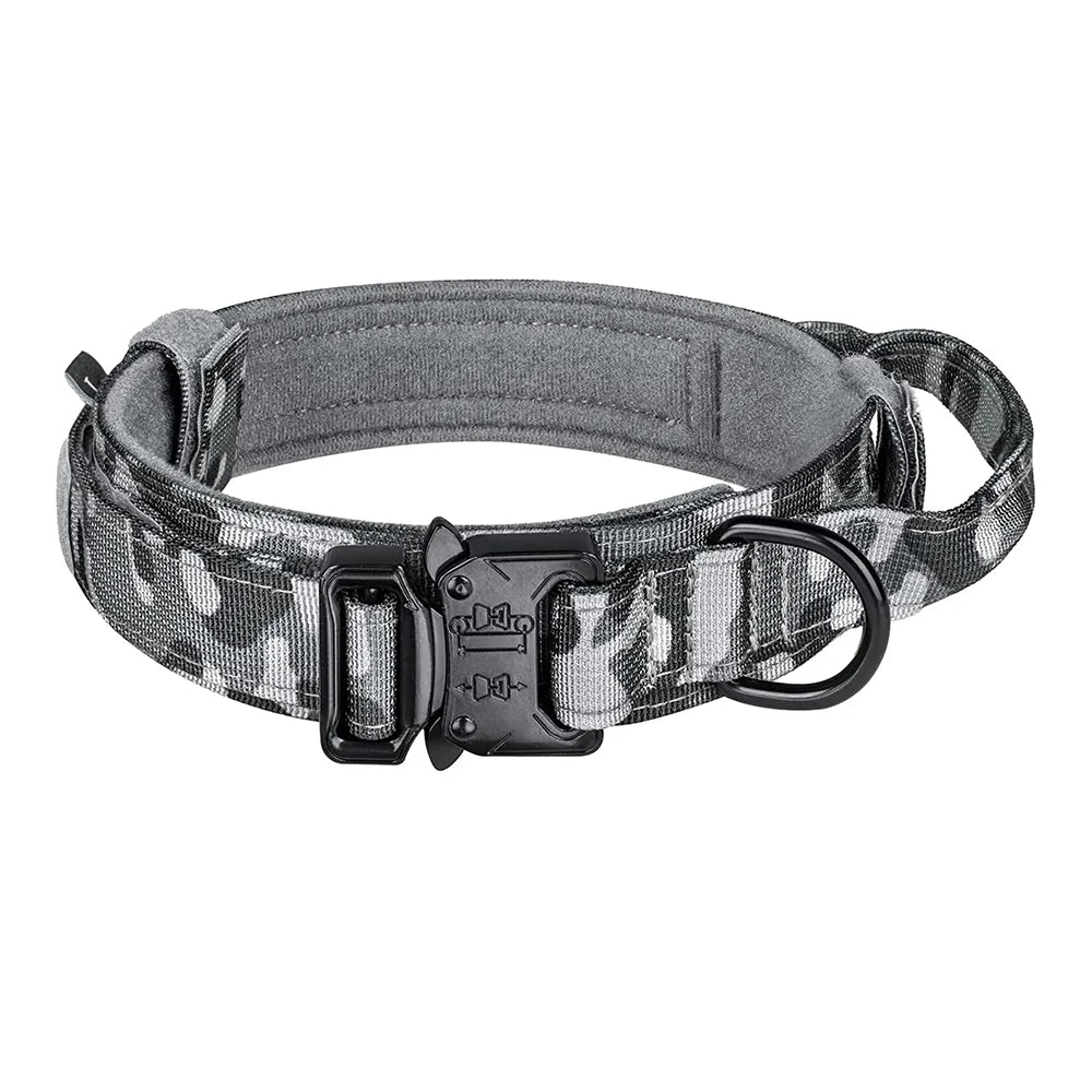 Set of collar and leash for dog