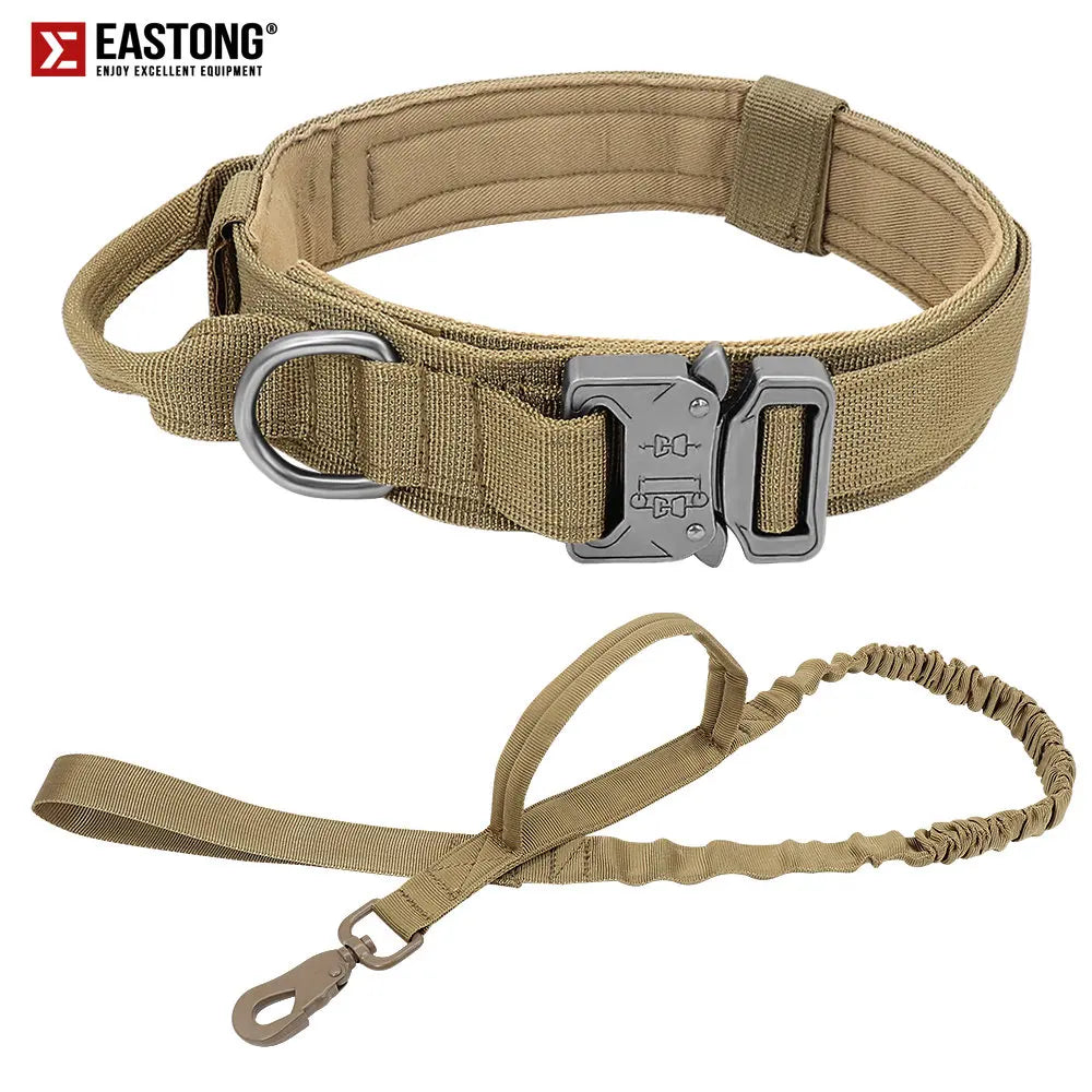 Set of collar and leash for dog