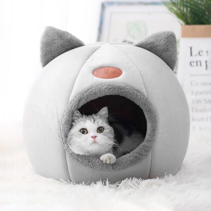 House for small pets