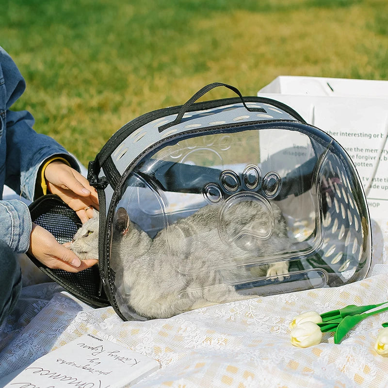 Transparent Foldable Pet Travel Bag