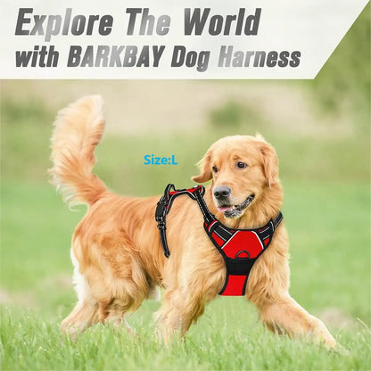 Harness for Large Dog