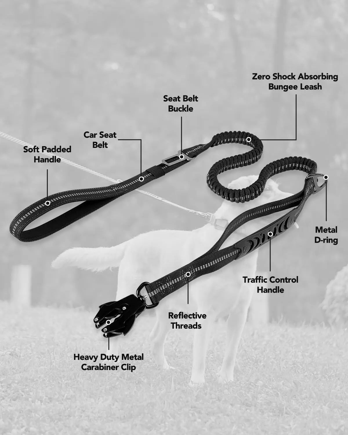 Heavy Duty Dog Leash