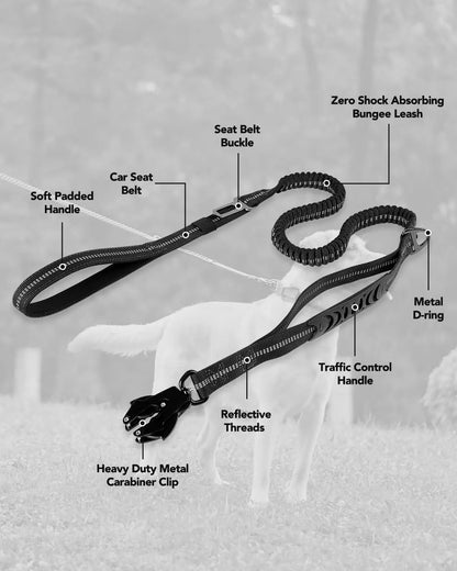 Heavy duty Dog leashes