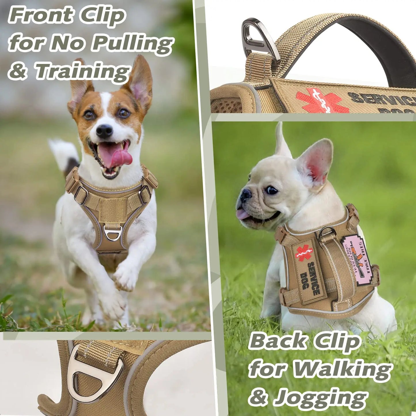 Tactical Harness for Small Dogs