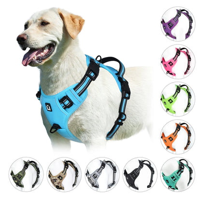 Pet vest with soft lining