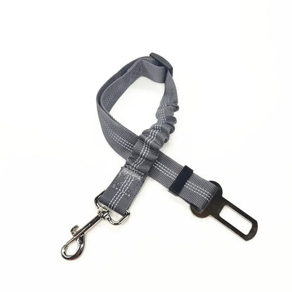 Car seat belt for pets