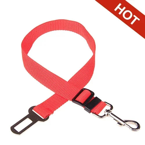 Car seat belt for pets