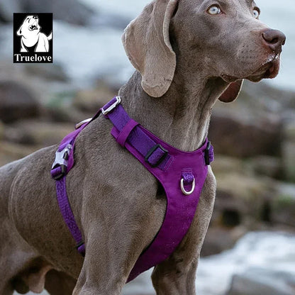 Light adjustable dog harness