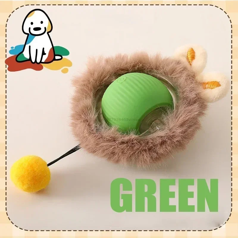 Interactive Ball Toy