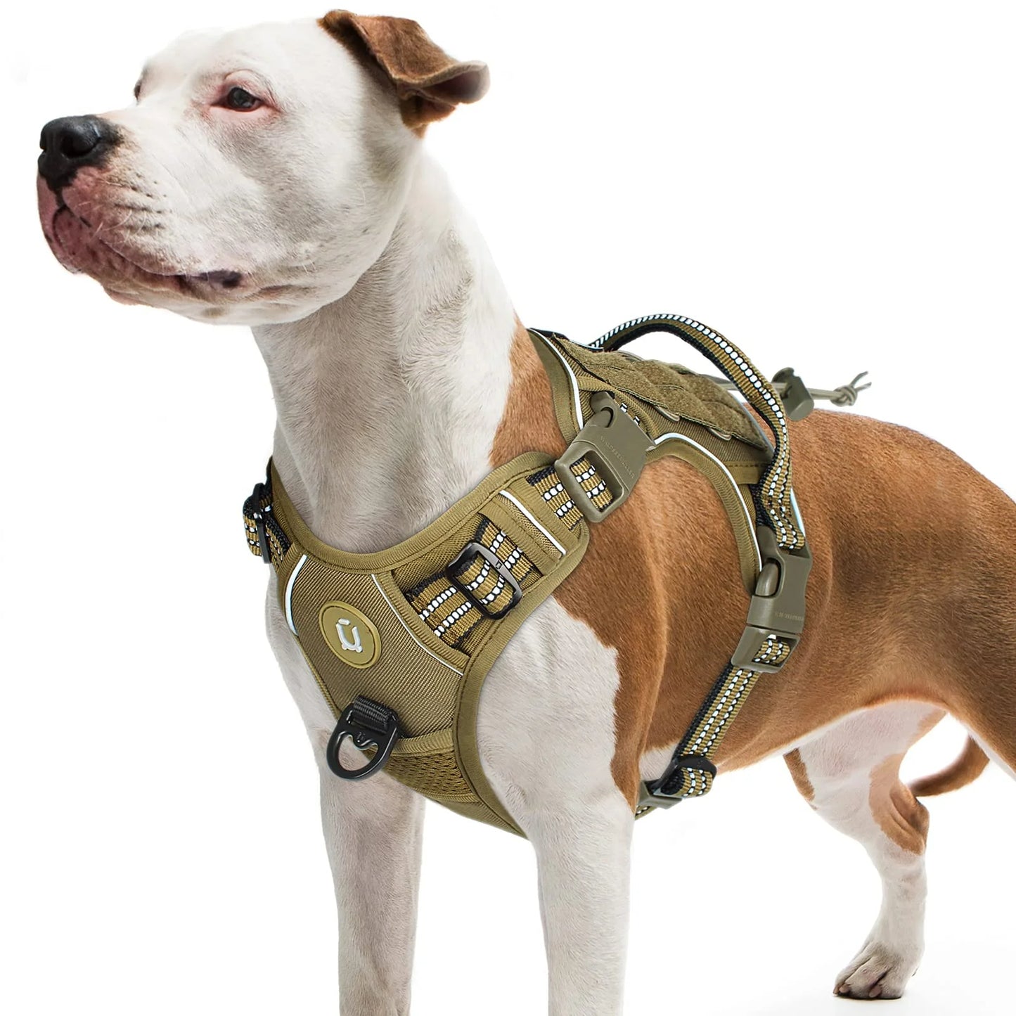 Tactical harness for medium-sized dogs with reflective properties