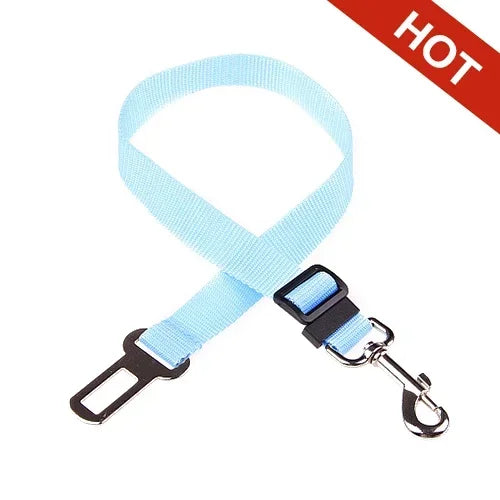 Car seat belt for pets