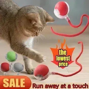 Interactive Ball Toy