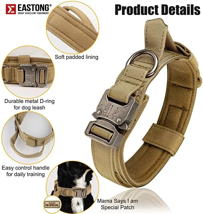 Set  of collar and leash for dog