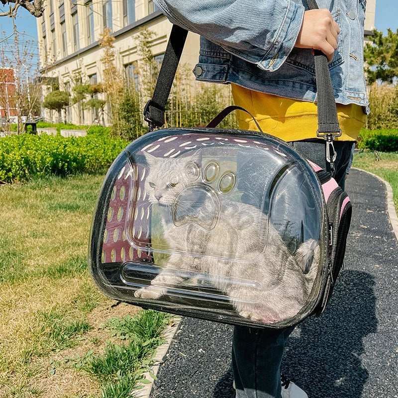 Transparent Foldable Pet Travel Bag