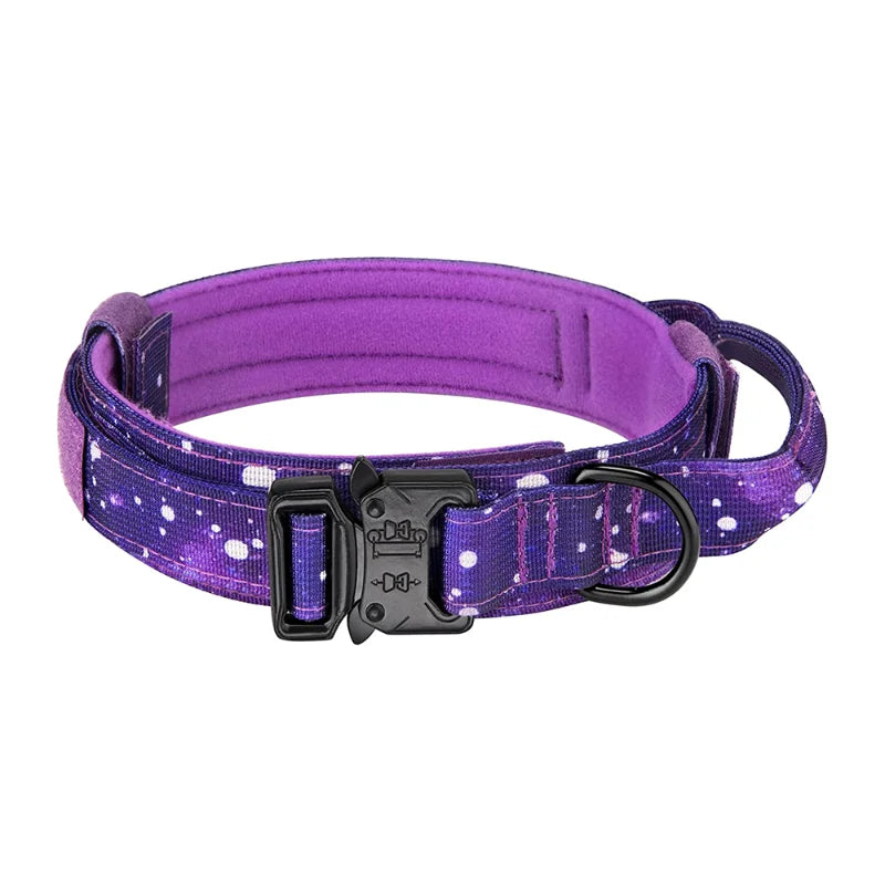 Set  of collar and leash for dog