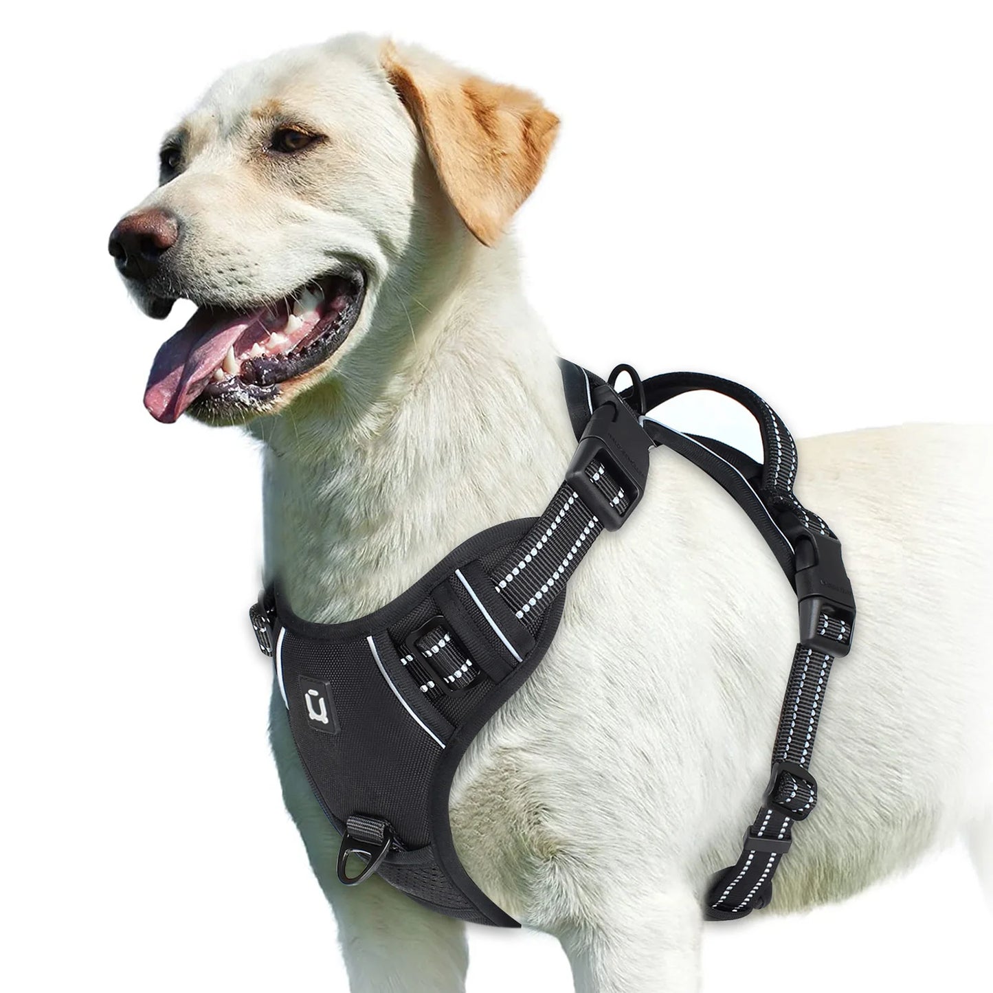 Pet vest with soft lining