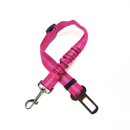 Car seat belt for pets