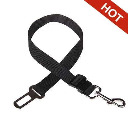 Car seat belt for pets