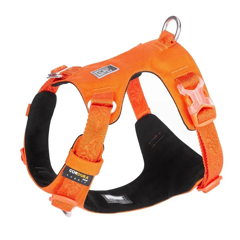 Light adjustable dog harness