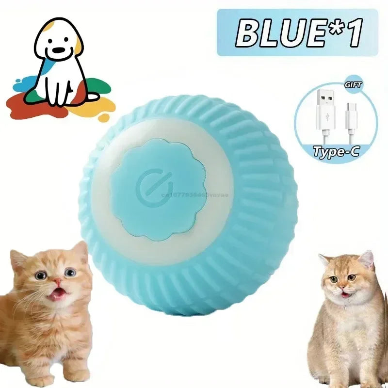 Interactive Ball Toy