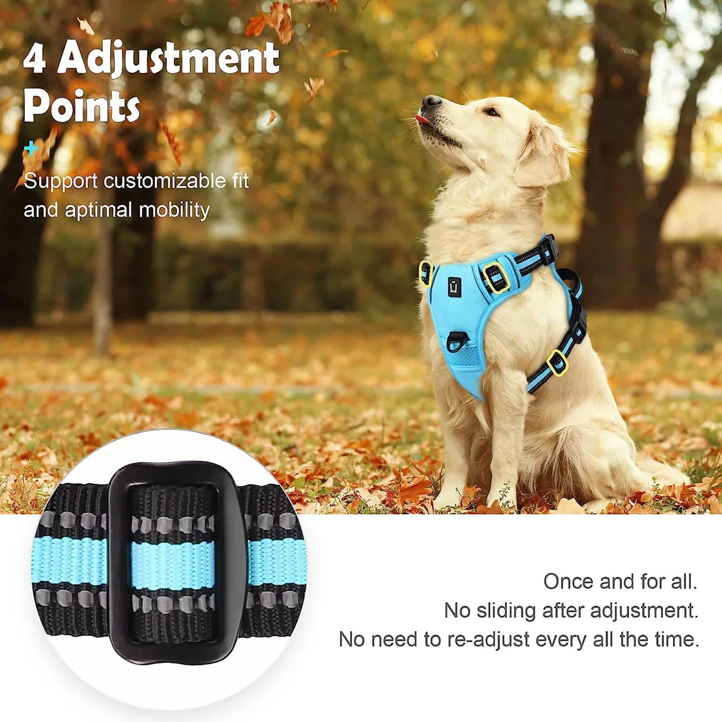 Pet vest with soft lining