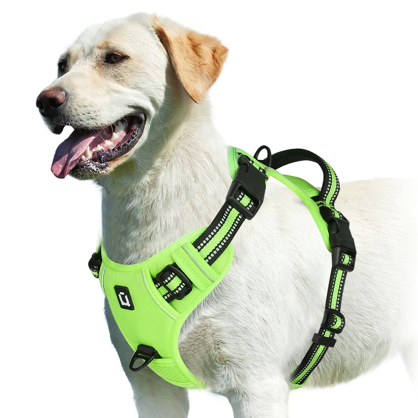 Pet vest with soft lining