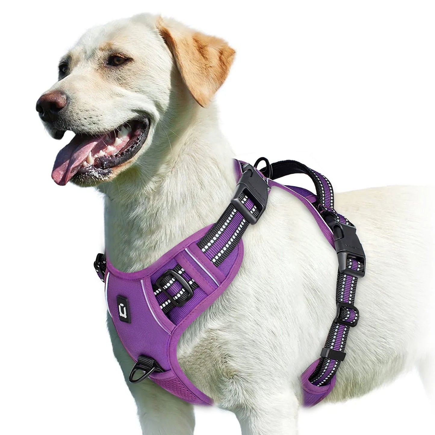 Pet vest with soft lining