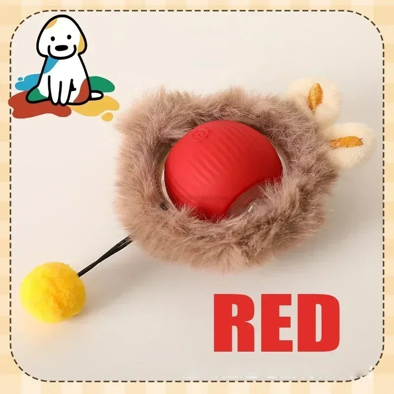 Interactive Ball Toy