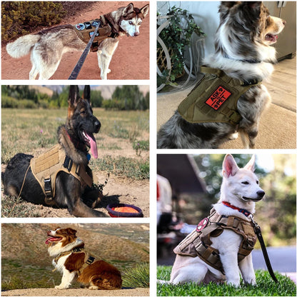 Military harness for large dog