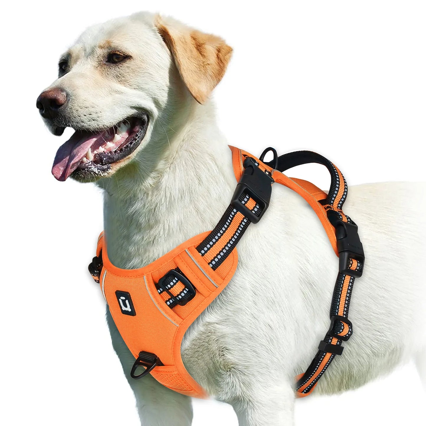 Pet vest with soft lining