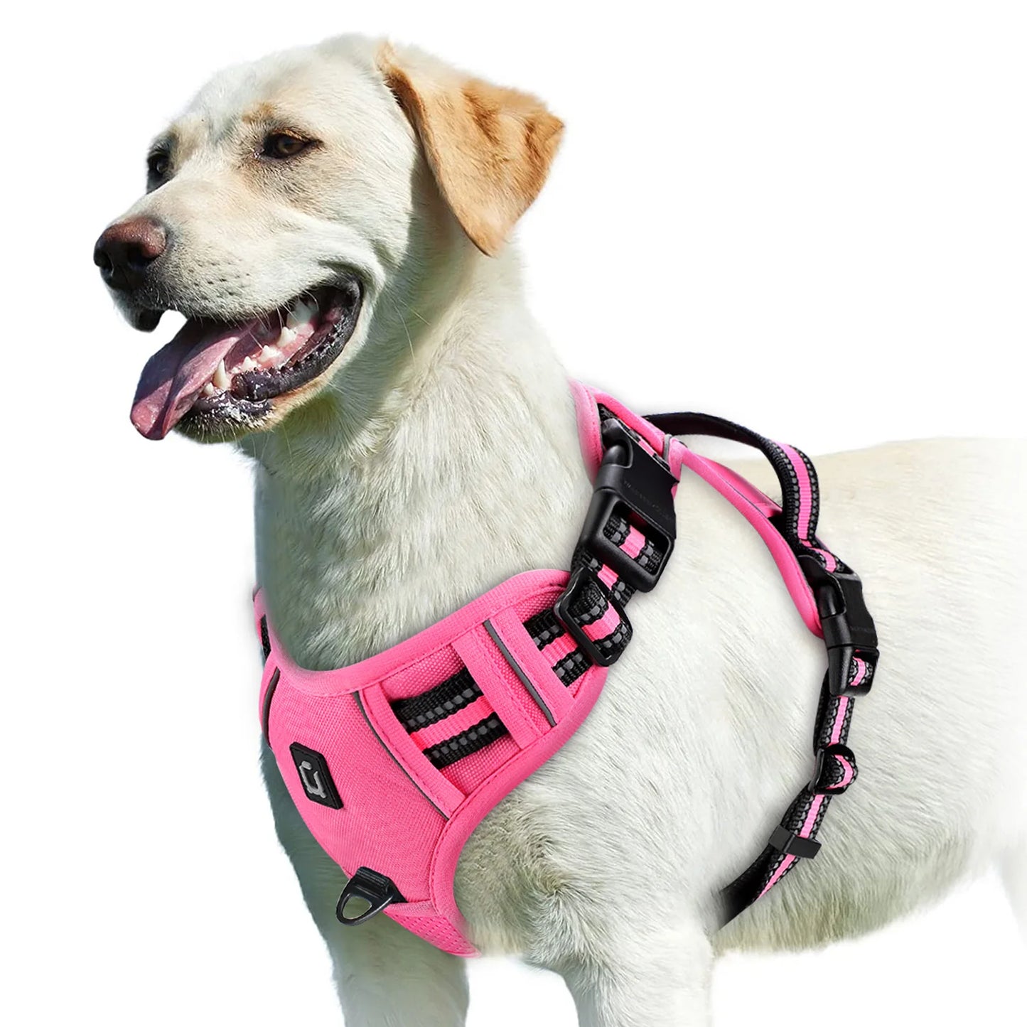 Pet vest with soft lining