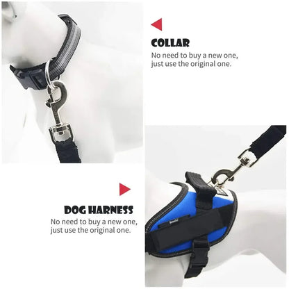 Car seat belt for pets