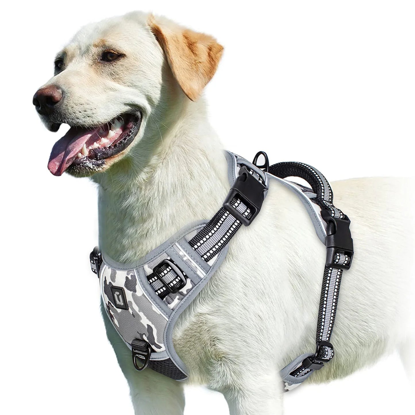 Pet vest with soft lining