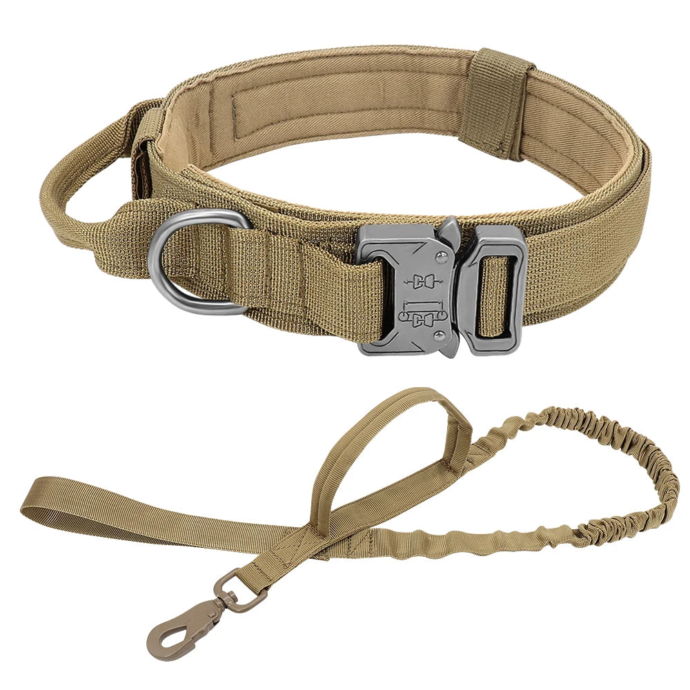 Set  of collar and leash for dog