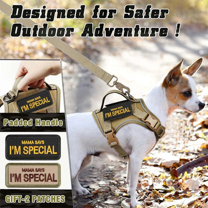 Tactical Harness for Small Dogs