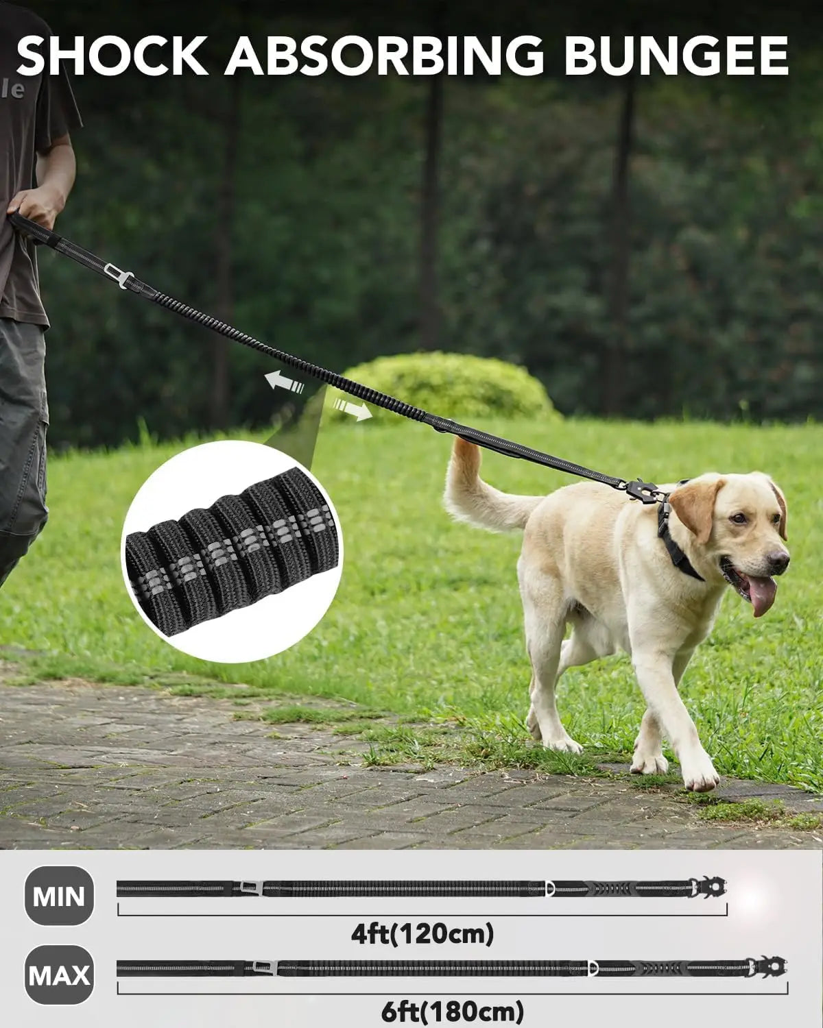 Heavy duty Dog leashes