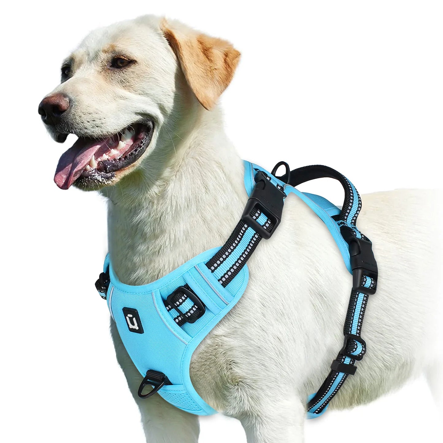 Pet vest with soft lining