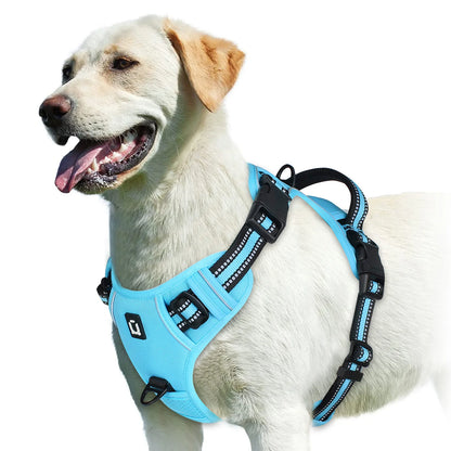 Pet vest with soft lining