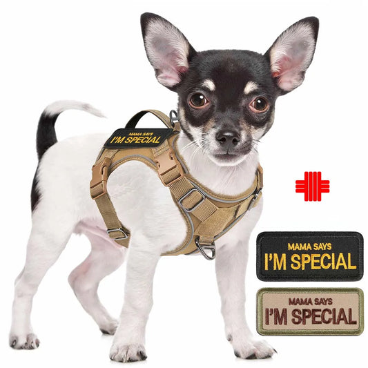 Tactical Harness for Small Dogs