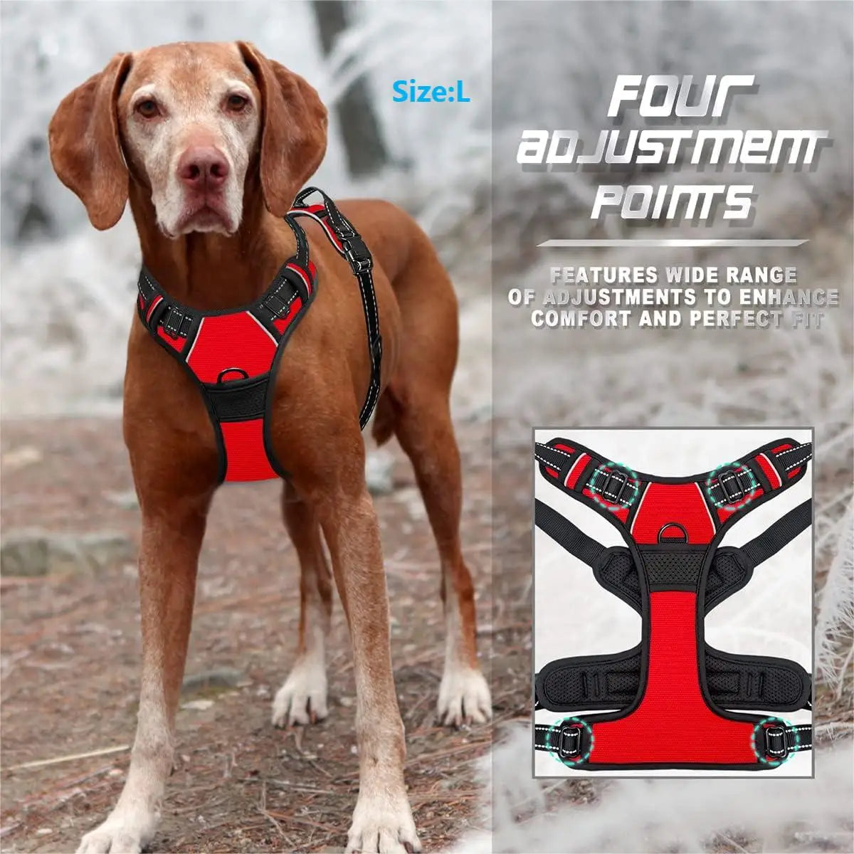 Harness for Large Dog