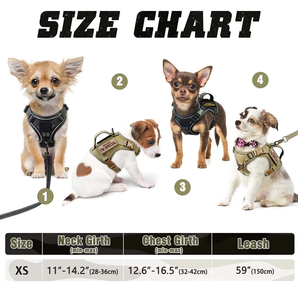 Tactical Harness for Small Dogs