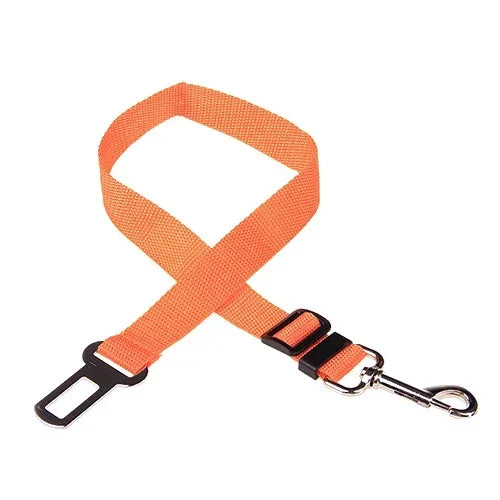 Car seat belt for pets