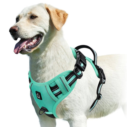 Pet vest with soft lining